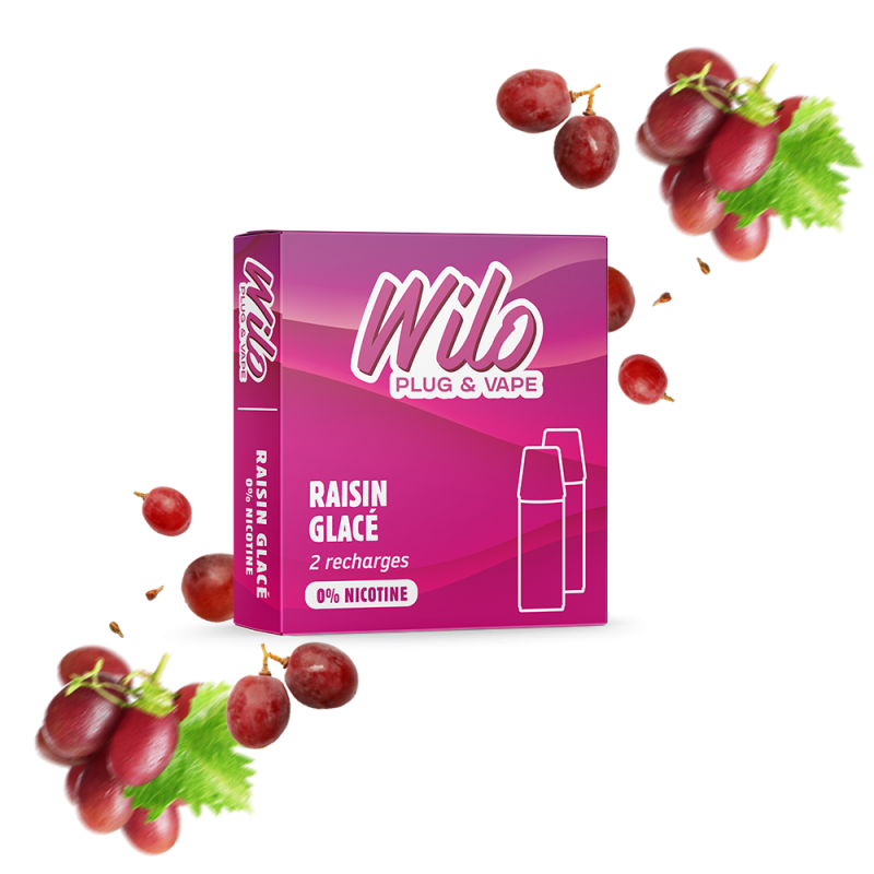 Recharges WILO - Raisin Glacé