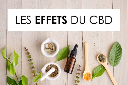 LES EFFETS DU CBD