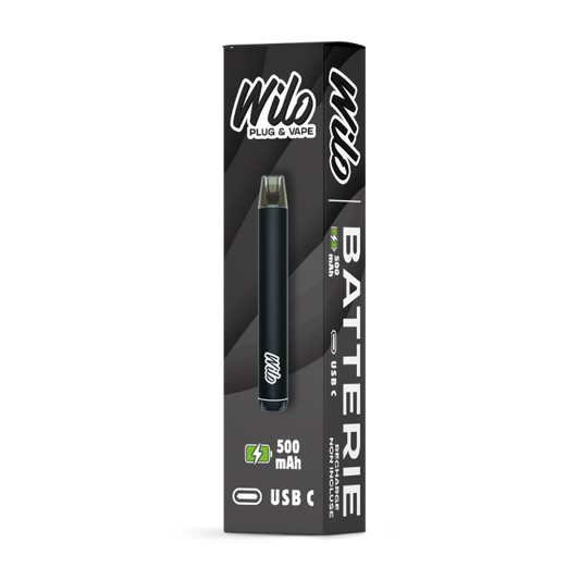 WILO BATTERIE