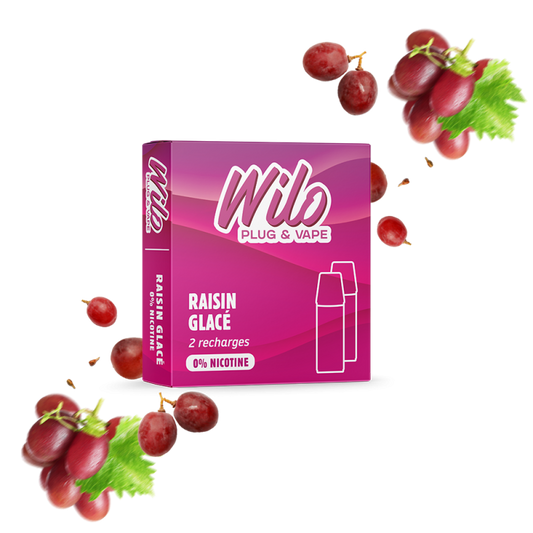 Recharges WILO - Raisin Glacé